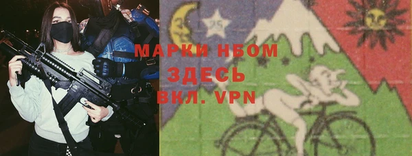 гашик Ладушкин