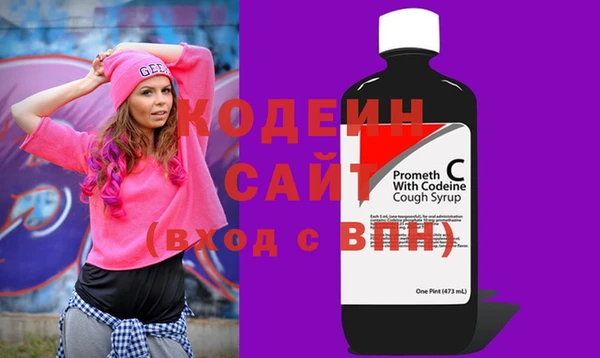 гашик Ладушкин