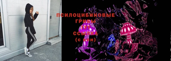 гашик Ладушкин