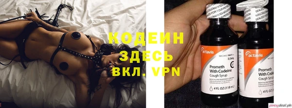 дурь Лабытнанги