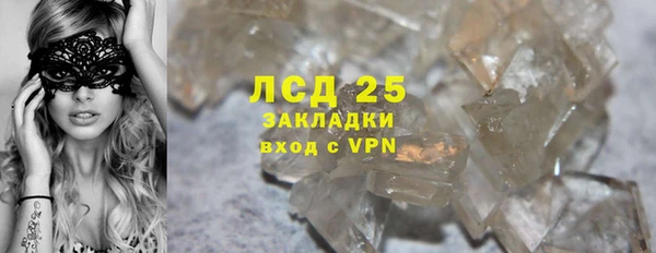 гашик Ладушкин