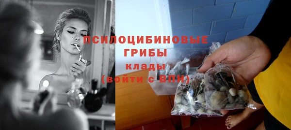 дурь Лабытнанги
