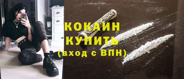 гашик Ладушкин